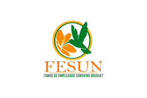 Fesun